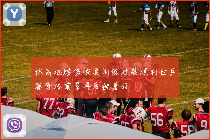 林高远腰伤恢复训练进展顺利世乒赛资格前景再度被看好